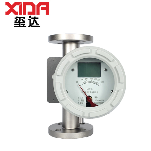 LZD-25/Y防爆型金属管转子流量计